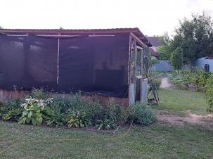IMG-20240827-WA0017